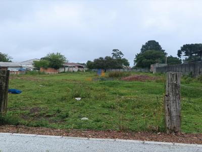 Terreno para Venda, em Pinhais, bairro Vargem Grande