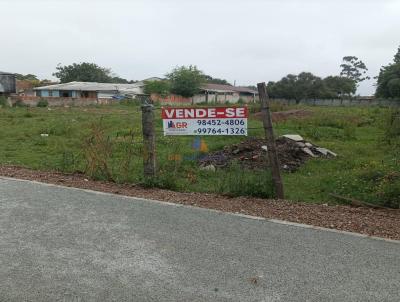 Terreno para Venda, em Pinhais, bairro Vargem Grande