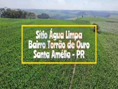 S�tio para Venda, em Santa Am�lia, bairro Centro